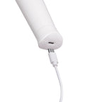 LE WAND CLASSIQUE PETITE WAND MASSAGER