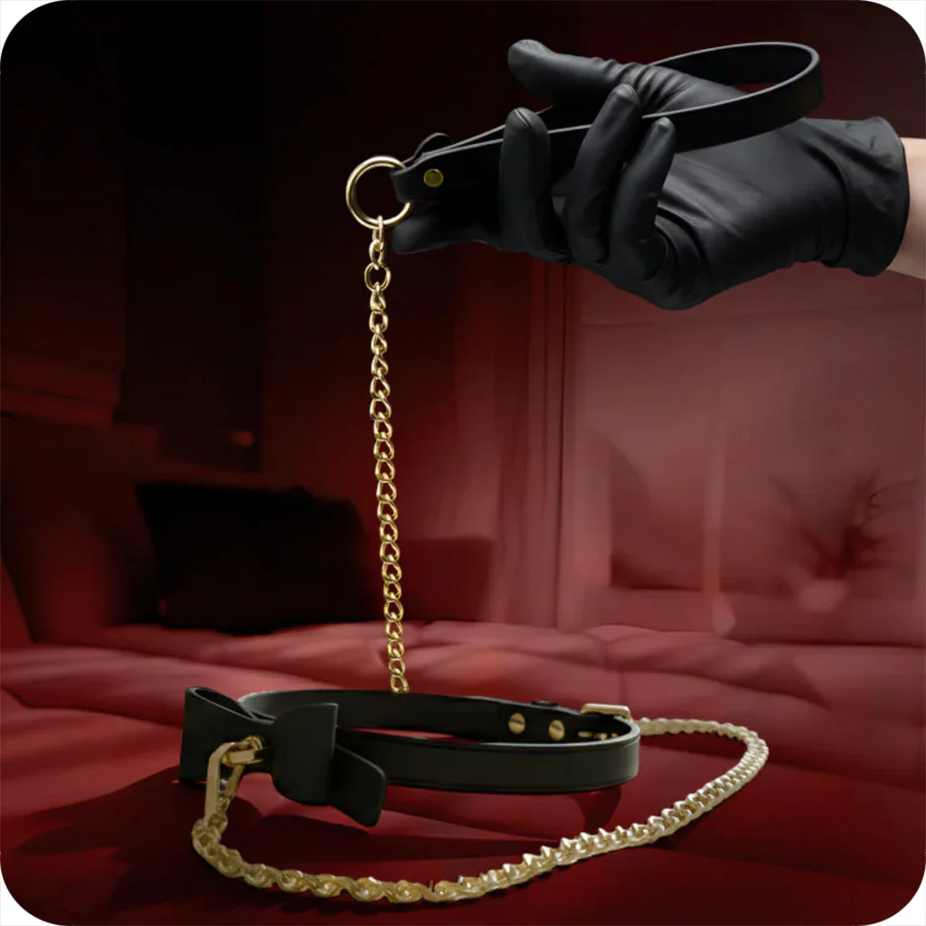 Collar & Leash - Black with Bow