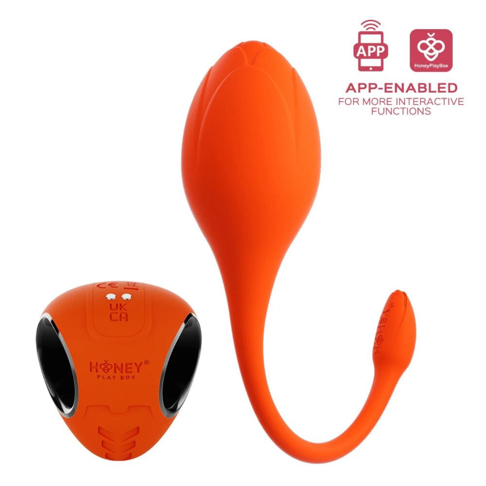 Egg Vibrator with Lili App-Enabled Honey Play Box