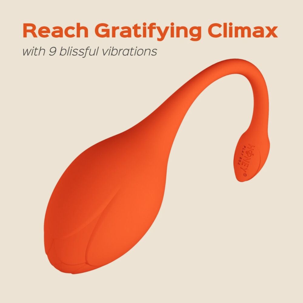 Egg Vibrator with Lili App-Enabled Honey Play Box
