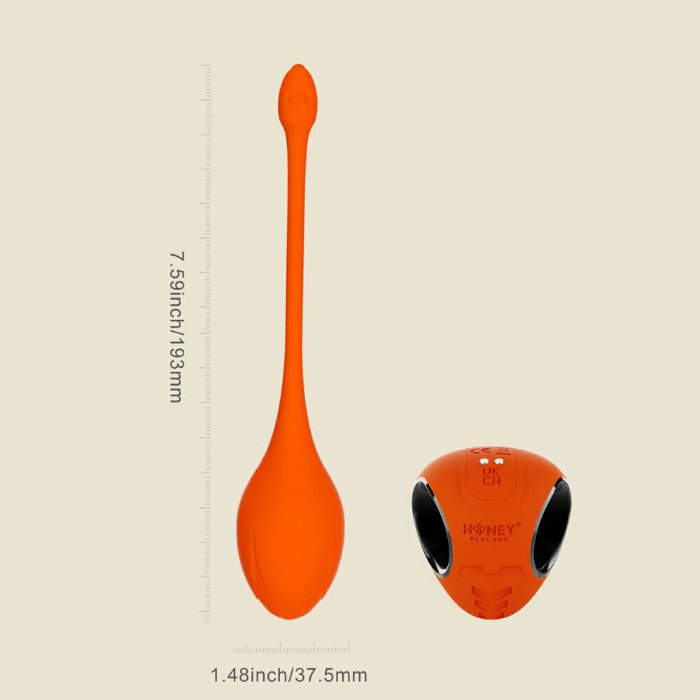Egg Vibrator with Lili App-Enabled Honey Play Box
