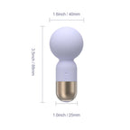 Pocket Mini Pokewan Vibrating Wand - Pur Honey Play Box