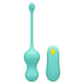 Cello Remote Controlled Vibrator