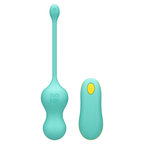 Cello Remote Controlled Vibrator